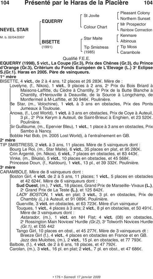 Miniature pedigree
